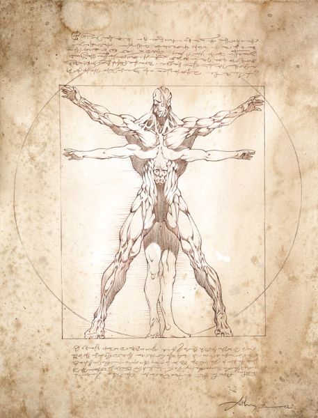 La licorne, illustration Primordial de Vitruve, n&deg; 43