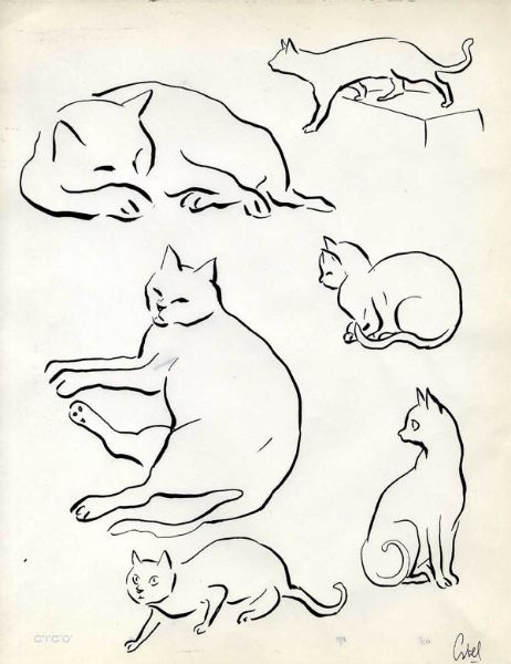 Les animaux de ma vie, illustration 47