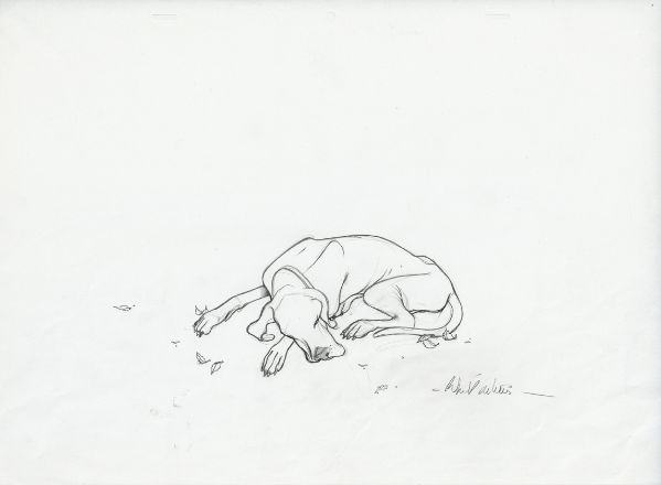 Bois dormant, Le caf&eacute; (chien), 2016, Recherche crayonn&eacute;e