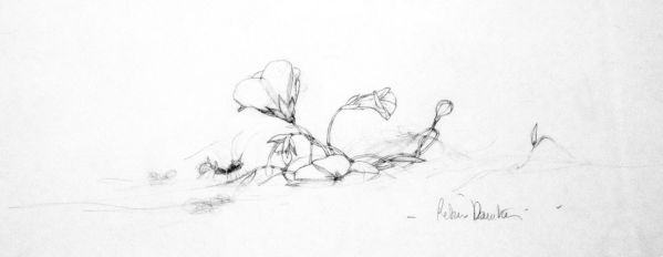 Soie, Crayonn&eacute; Fleurs bleues, 2012