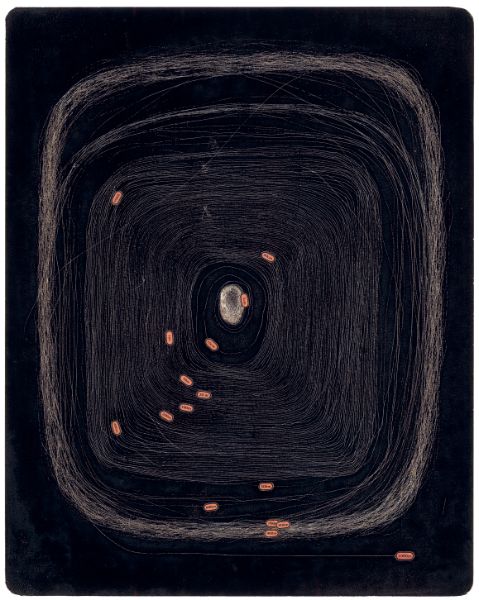 Soie, Le Cocon N&deg;1, 2012