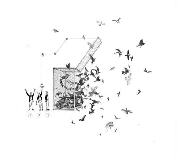 Soie, A quoi sert une voli&egrave;re?, 2012