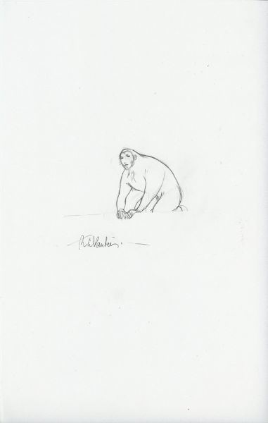 Y&eacute;ti, Y&eacute;ti (t&eacute;l&eacute;ph&eacute;rique), 2015, Recherche crayonn&eacute;e