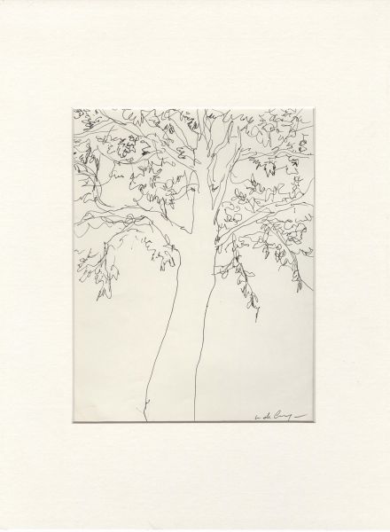 500 dessins, Illustration, Arbre 
