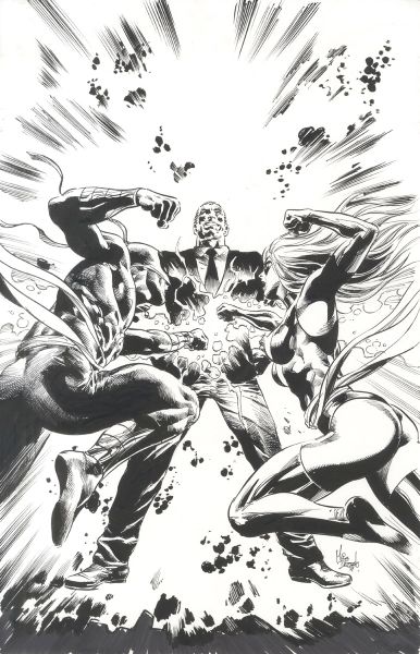 New Avengers, Issue 22, Couverture alternative