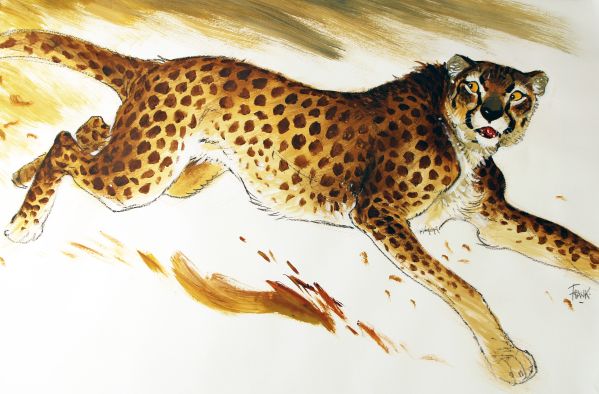 Gu&eacute;pard