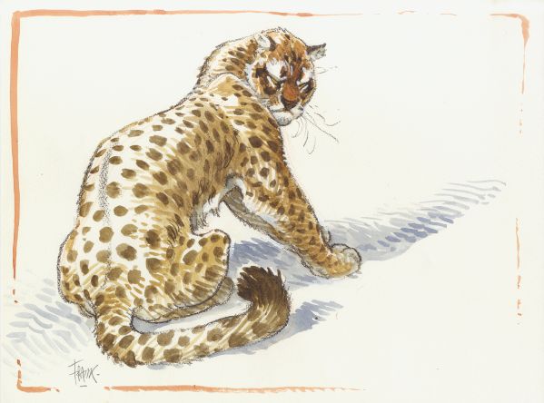 Illustration, Panth&egrave;re