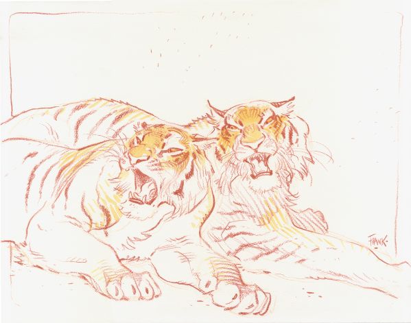 Illustration, Tigres