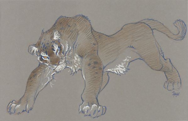 Illustration, panthère n°3