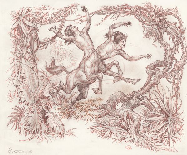 Illustration de Morphos