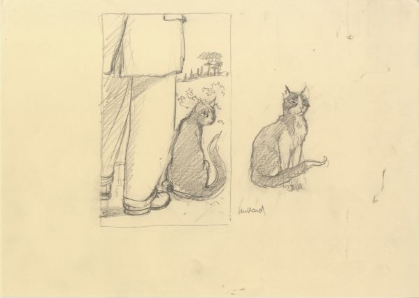 Illustration 101, Apr&egrave;s la pluie