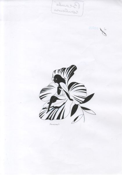 Beaut&eacute;, Illustration n&deg;9