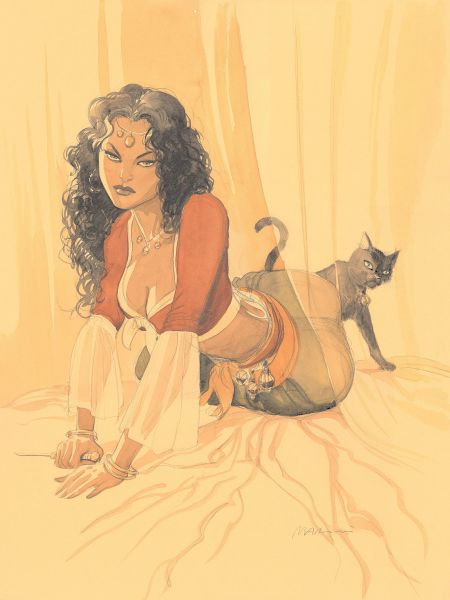 Le Scorpion,Illustration, M&eacute;ja&iuml; et Chat