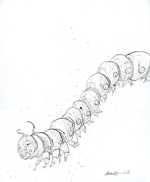 Historic Heston illustration, Caterpillar, page 405