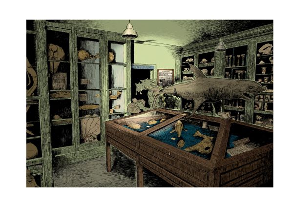 Grondin volant, New Cherbourg Stories, T.2 : Le Silence des grondins, Tirage unique