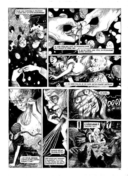 Ornithomaniacs planche 32