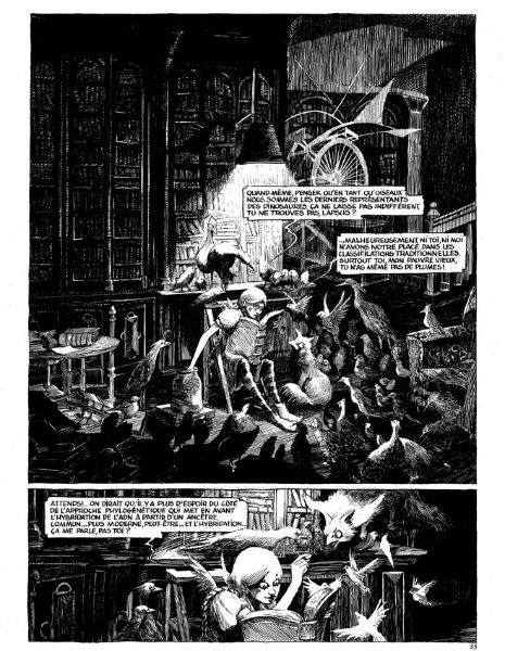 Ornithomaniacs, planche 33